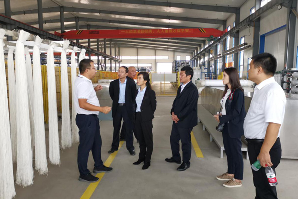 陕西航天建设集团有限公司总司理、党委副书记谢明娟率队赴辽宁J9集团环保工业集团开展考察调研事情