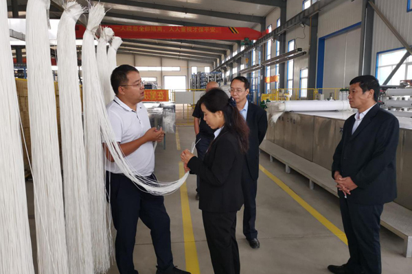 陕西航天建设集团有限公司总司理、党委副书记谢明娟率队赴辽宁J9集团环保工业集团开展考察调研事情